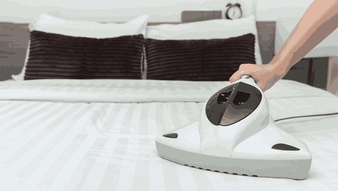 Professional Mattress Cleaning Hastings